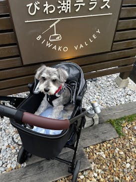 びわ湖バレイに投稿された画像（2022/6/10）