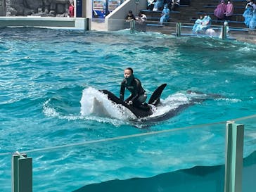 鴨川シーワールドに投稿された画像（2022/6/10）
