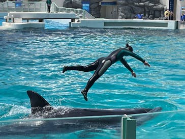 鴨川シーワールドに投稿された画像（2022/6/10）