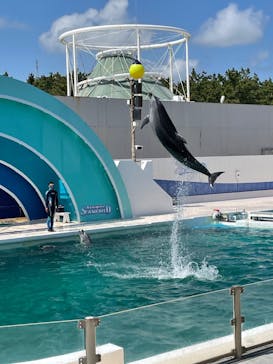 鴨川シーワールドに投稿された画像（2022/6/10）