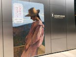 シダネルとマルタン展（SOMPO美術館）に投稿された画像（2022/6/10）