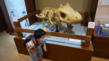 国立科学博物館　特別企画展「ポケモン化石博物館」に投稿された画像（2022/6/10）