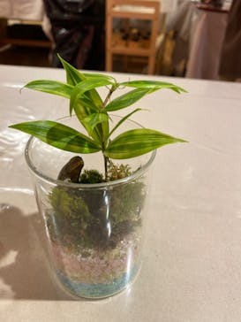 伊勢夫婦岩めおと横丁　めおと岩アクティビティに投稿された画像（2022/6/10）