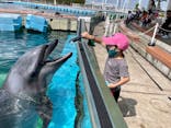 横浜・八景島シーパラダイスに投稿された画像（2022/6/10）