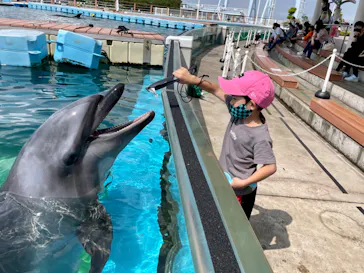 横浜・八景島シーパラダイスに投稿された画像（2022/6/10）