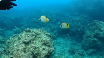 DIVING-SHOP SUNSに投稿された画像（2022/6/10）