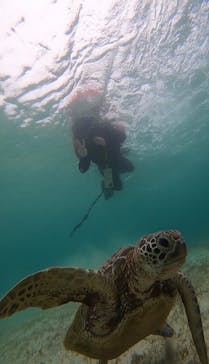 宮古島 ADVENTURE PiPi（ミヤコジマ アドベンチャー ピピ）に投稿された画像（2022/6/10）