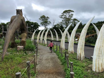 伊豆ぐらんぱる公園に投稿された画像（2022/6/10）