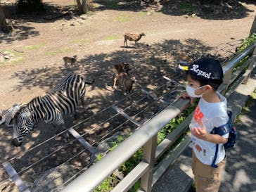 伊豆アニマルキングダムに投稿された画像（2022/6/10）