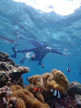 宮古島 ADVENTURE PiPi（ミヤコジマ アドベンチャー ピピ）に投稿された画像（2022/6/10）