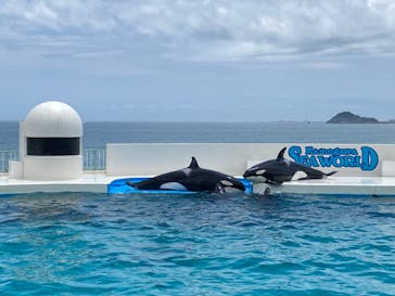 鴨川シーワールドに投稿された画像（2022/6/10）