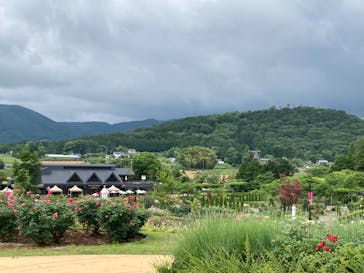 いばらきフラワーパークに投稿された画像（2022/6/11）