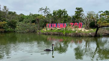 沖縄こどもの国に投稿された画像（2022/6/11）