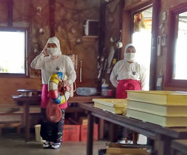 海女小屋はちまんかまどに投稿された画像（2022/6/11）