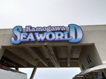 鴨川シーワールドに投稿された画像（2022/6/11）