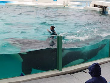 鴨川シーワールドに投稿された画像（2022/6/11）