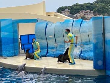 新江ノ島水族館に投稿された画像（2022/6/11）