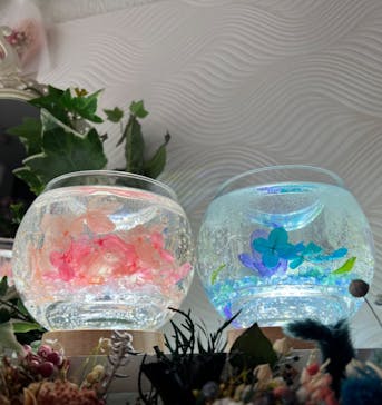 ずこうしつ〜sugamo〜に投稿された画像（2022/6/11）