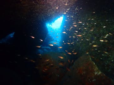 クリオネダイバーズに投稿された画像（2022/6/11）