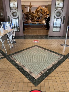 国立科学博物館　特別企画展「ポケモン化石博物館」に投稿された画像（2022/6/11）