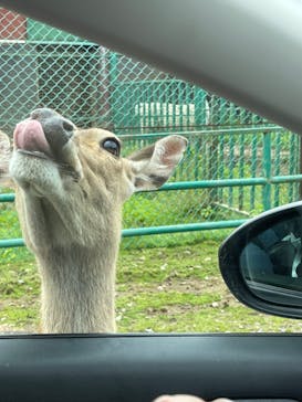 東北サファリパークに投稿された画像（2022/6/11）