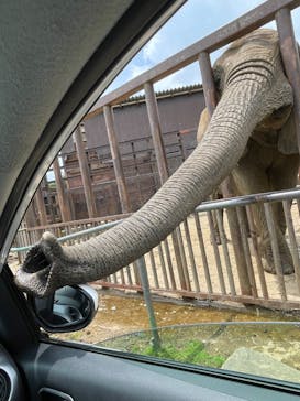 東北サファリパークに投稿された画像（2022/6/11）