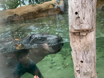 神戸どうぶつ王国に投稿された画像（2022/6/11）