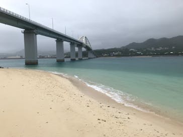 今帰仁城跡に投稿された画像（2022/6/11）