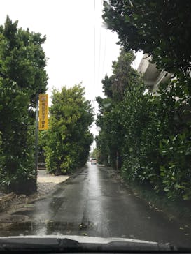 今帰仁城跡に投稿された画像（2022/6/11）