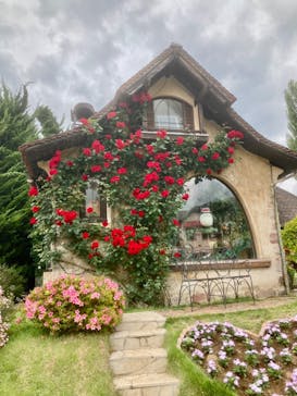 河口湖 音楽と森の美術館に投稿された画像（2022/6/11）