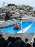 大分マリーンパレス水族館 「うみたまご」に投稿された画像（2022/6/11）