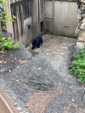 よこはま動物園ズーラシアに投稿された画像（2022/6/11）