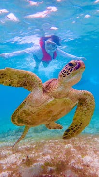 宮古島マリン SUGAR3（シュガースリー）に投稿された画像（2022/6/11）