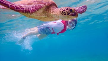 宮古島マリン SUGAR3（シュガースリー）に投稿された画像（2022/6/11）