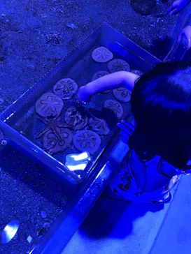 横浜・八景島シーパラダイスに投稿された画像（2022/6/11）