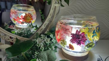 ずこうしつ〜sugamo〜に投稿された画像（2022/6/11）