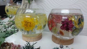 ずこうしつ〜sugamo〜に投稿された画像（2022/6/11）