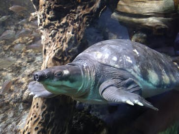 名古屋港水族館に投稿された画像（2022/6/11）