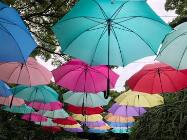 ニューヨークランプミュージアム＆フラワーガーデンに投稿された画像（2022/6/11）