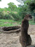 よこはま動物園ズーラシアに投稿された画像（2022/6/11）