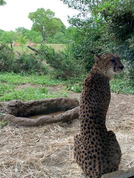 よこはま動物園ズーラシアに投稿された画像（2022/6/11）