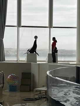 アクアワールド茨城県大洗水族館に投稿された画像（2022/6/11）