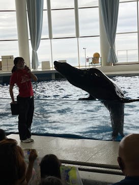 アクアワールド茨城県大洗水族館に投稿された画像（2022/6/11）
