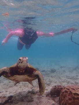 宮古島 ADVENTURE PiPi（ミヤコジマ アドベンチャー ピピ）に投稿された画像（2022/6/11）