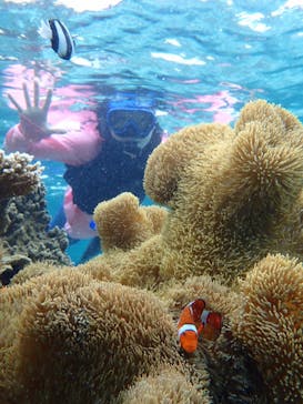 宮古島 ADVENTURE PiPi（ミヤコジマ アドベンチャー ピピ）に投稿された画像（2022/6/11）