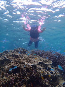 宮古島 ADVENTURE PiPi（ミヤコジマ アドベンチャー ピピ）に投稿された画像（2022/6/11）