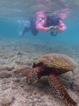 宮古島 ADVENTURE PiPi（ミヤコジマ アドベンチャー ピピ）に投稿された画像（2022/6/11）