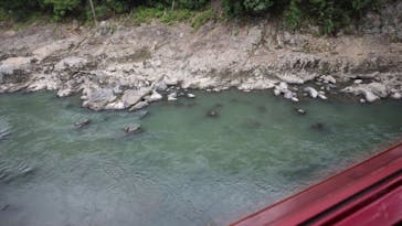 京都鉄道博物館に投稿された画像（2022/6/11）