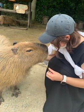 長崎バイオパークに投稿された画像（2022/6/11）