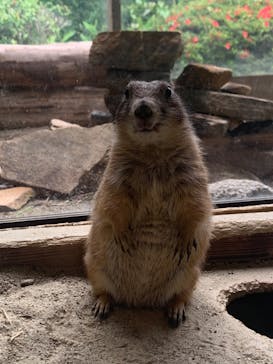 長崎バイオパークに投稿された画像（2022/6/11）